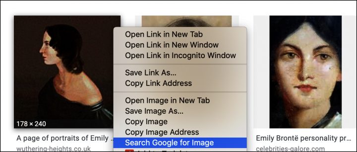 Screen shot of a Google Image search for Emily Bronte